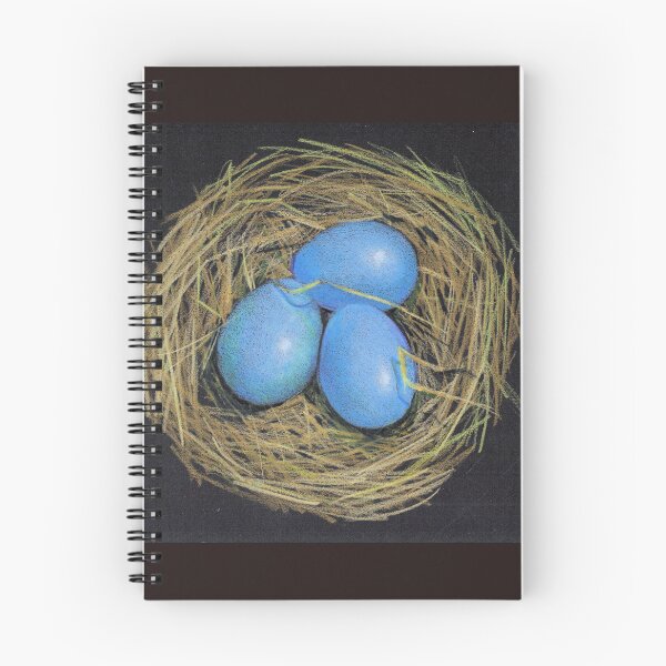 Item preview, Bird Eggs in a Nest, Blue Eggs, Color Pencil on Black designed and sold by JoyfulWhimsy.