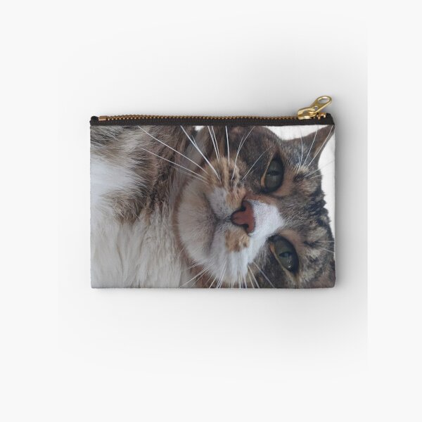 Artikelvorschau, Herr Booties, die Katze entworfen und verkauft von RavnbakkeArt.
