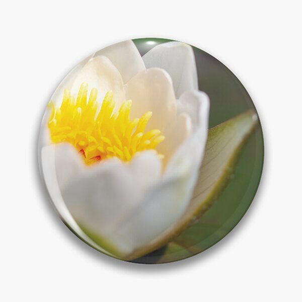 Item preview, Macro Photography of Dew on Waterlily Flower designed and sold by 3 Hours of Silence.