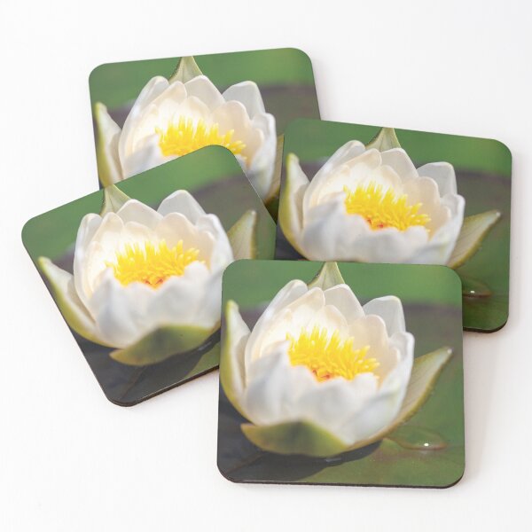 Item preview, Macro Photography of Dew on Waterlily Flower designed and sold by 3 Hours of Silence.