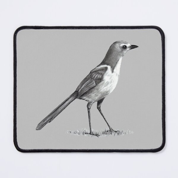 Item preview, Scrub Jay: Bird in Pencil: Standing Bird: Wildlife Art, Jay Bird designed and sold by JoyfulWhimsy.