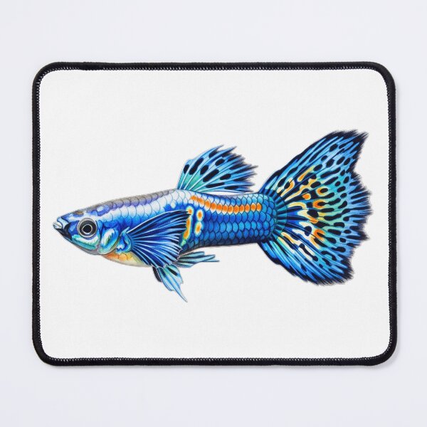 Item preview, Guppy designed and sold by 4rtistcDrift.