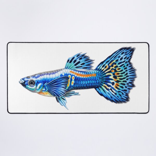 Item preview, Guppy designed and sold by 4rtistcDrift.