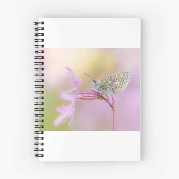 Item preview, Common Blue Butterfly On Ragged Robin  designed and sold by Alec Stewart.