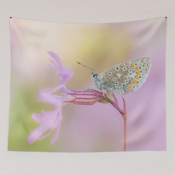 Item preview, Common Blue Butterfly On Ragged Robin  designed and sold by Alec Stewart.