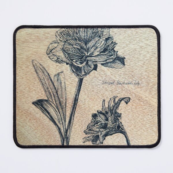 Item preview, Striped Barbados Lily designed and sold by Creations by Kasey.