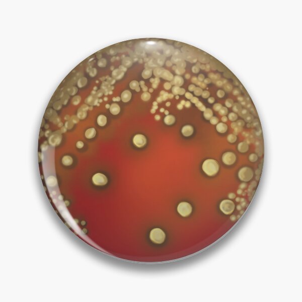 Item preview, Streptococcus pneumoniae  designed and sold by Creations by Kasey.