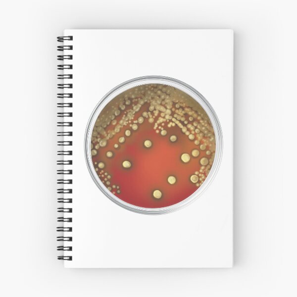Item preview, Streptococcus pneumoniae  designed and sold by Creations by Kasey.
