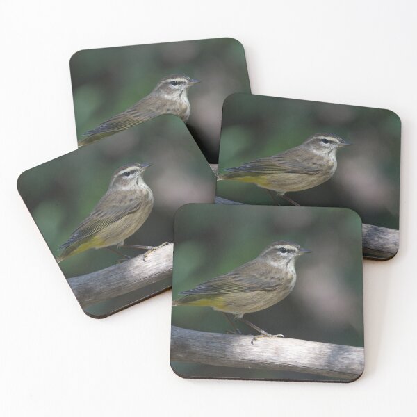 Item preview, Palm Warbler designed and sold by EnglandEcology.