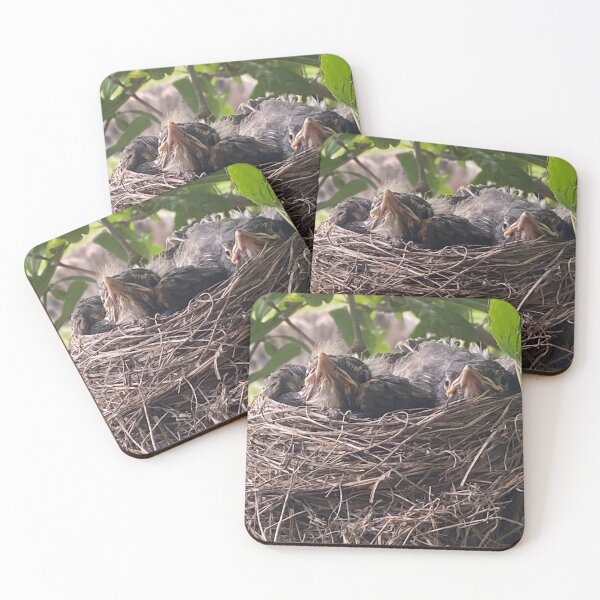 Item preview, birdies designed and sold by Annmko.