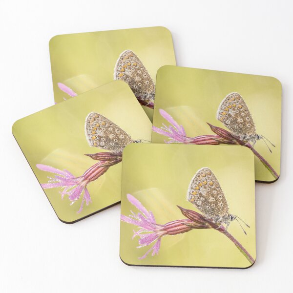 Item preview, Common Blue Butterfly On Ragged Robin  designed and sold by Alec Stewart.