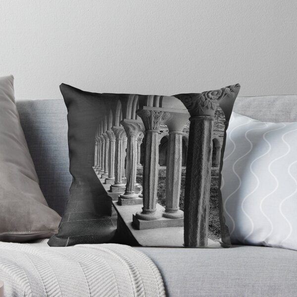 Item preview, Iona Abbey Cloisters designed and sold by RedGrouse.