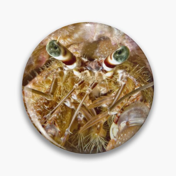 Item preview, The eyes of a hermite crab designed and sold by Elep-uwp.