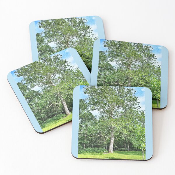Item preview, Big Tree with Rope Swing on a Sunny Summer Day designed and sold by Dynahgrl.