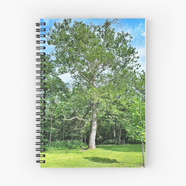 Item preview, Big Tree with Rope Swing on a Sunny Summer Day designed and sold by Dynahgrl.