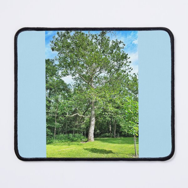 Item preview, Big Tree with Rope Swing on a Sunny Summer Day designed and sold by Dynahgrl.