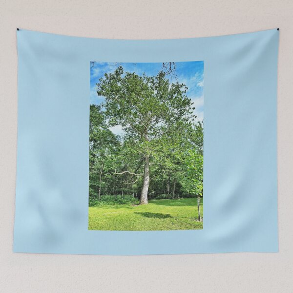 Item preview, Big Tree with Rope Swing on a Sunny Summer Day designed and sold by Dynahgrl.