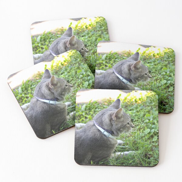 Item preview, Cat on grass designed and sold by McFleur's Lens.