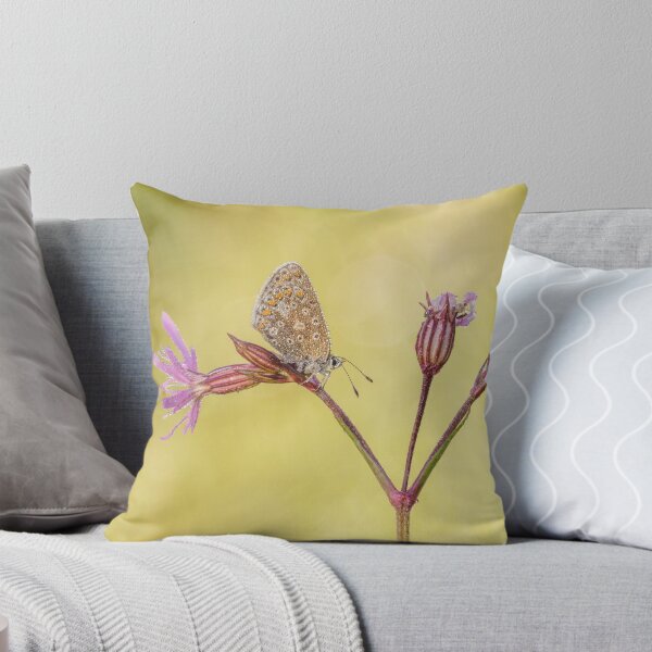 Item preview, Common Blue Butterfly On Ragged Robin designed and sold by Alec Stewart.