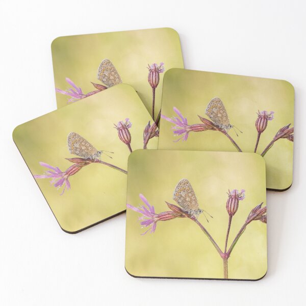 Item preview, Common Blue Butterfly On Ragged Robin designed and sold by Alec Stewart.