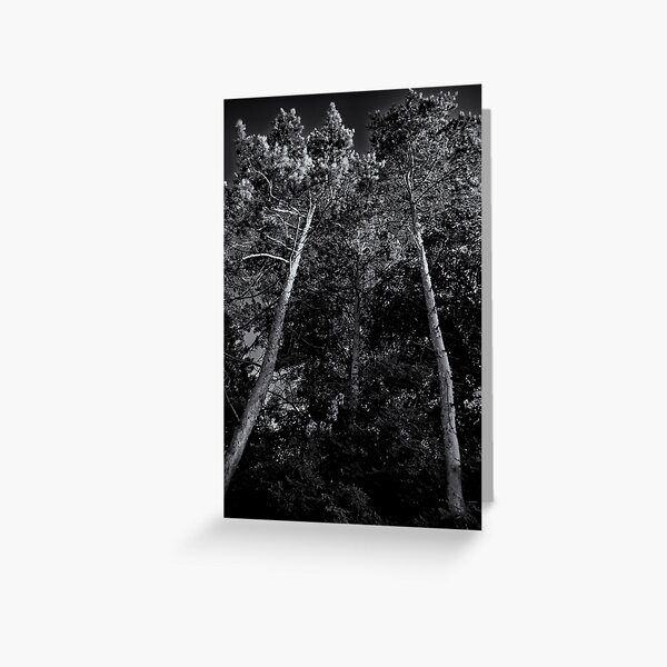 To the sky Greeting Card