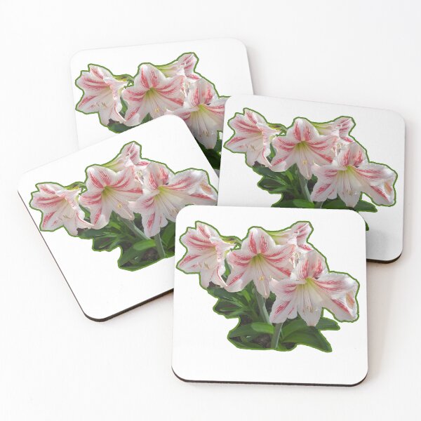 Item preview, Amaryllis Flower | Fiore di Amarillide | Fleur d’Amaryllis designed and sold by LenaBlueDesigns.