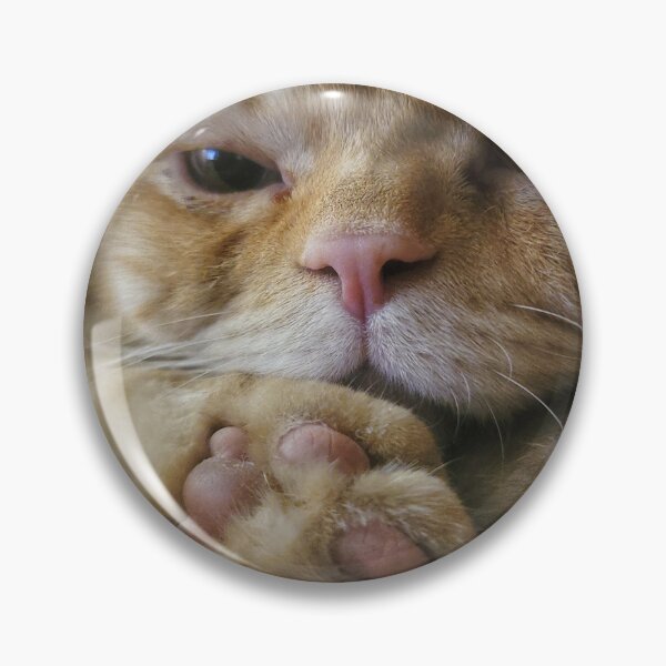 Item preview, Chino the cat designed and sold by Nina’s Clicks.