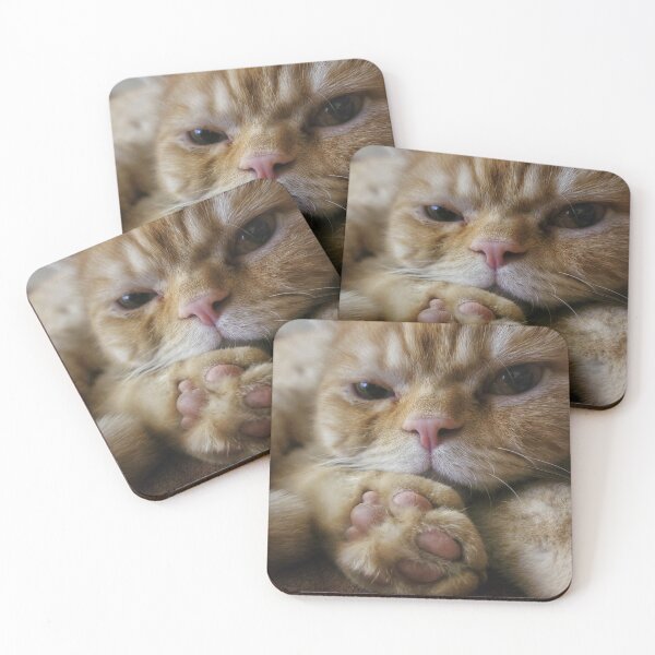 Item preview, Chino the cat designed and sold by Nina’s Clicks.