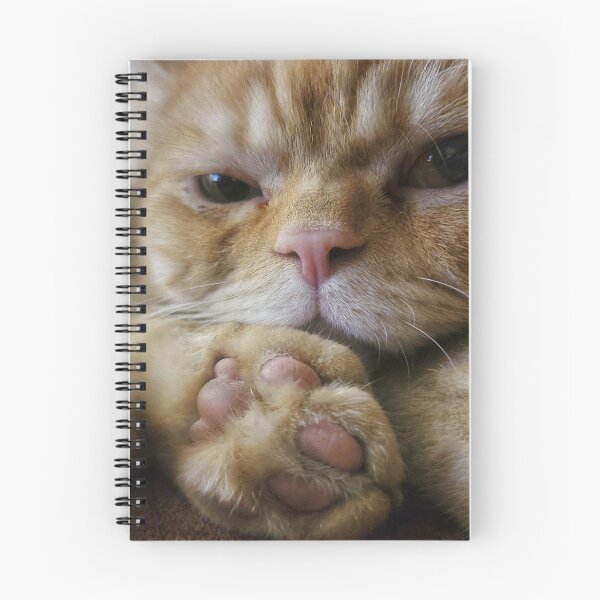 Item preview, Chino the cat designed and sold by Nina’s Clicks.