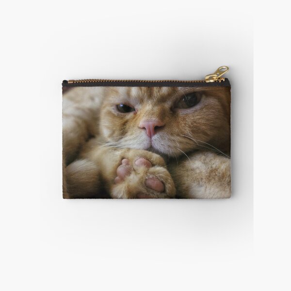 Item preview, Chino the cat designed and sold by Nina’s Clicks.