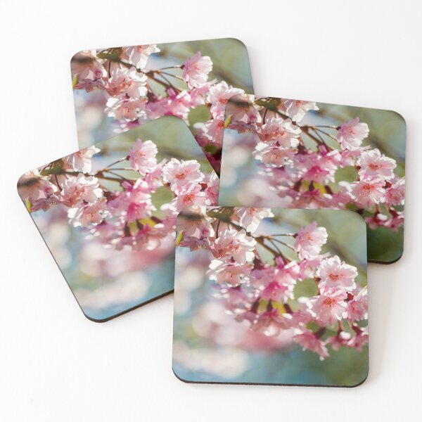Artikelvorschau, Kirschblüten-Nahaufnahme entworfen und verkauft von jillianbutolphphoto.