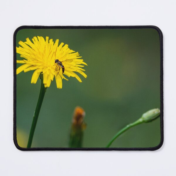 Item preview, Syrphid Fly on bright yellow dandelion designed and sold by lisavonbiela.