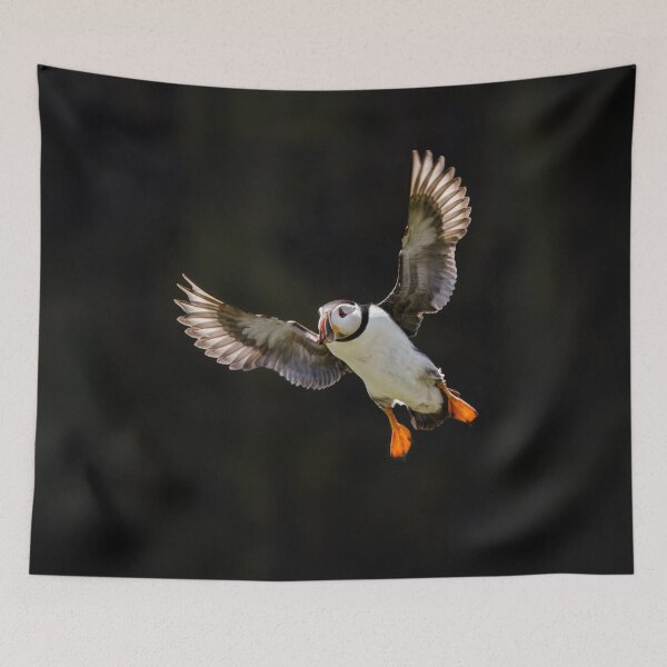 Item preview, Puffin designed and sold by Alec Stewart.