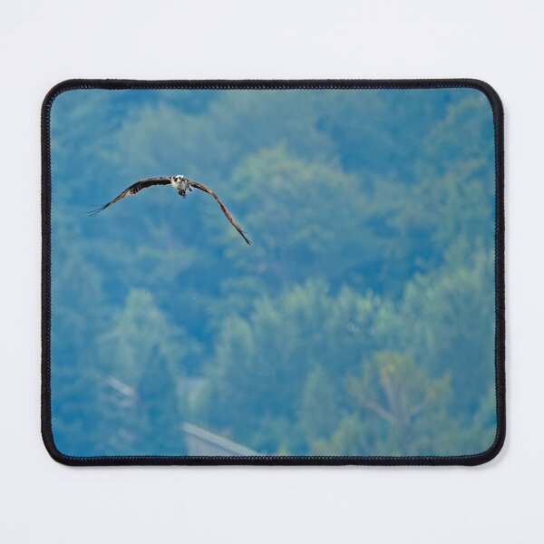 Item preview, Osprey with fish flying with trees in background designed and sold by lisavonbiela.
