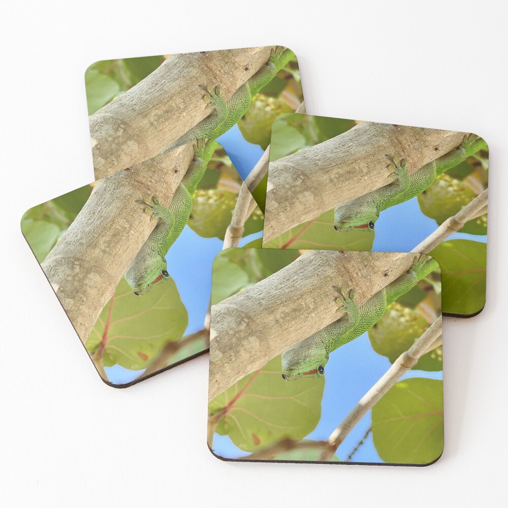Item preview, Coasters (Set of 4) designed and sold by SnappedBySam.