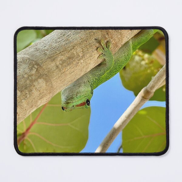 Item preview, Geco designed and sold by SnappedBySam.