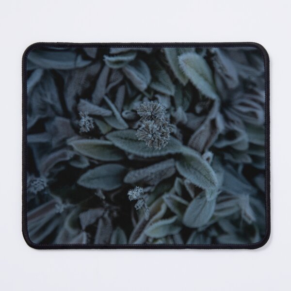Item preview, Sprout designed and sold by IdleImages.