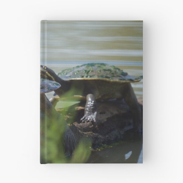 Item preview, Turtles on a Log designed and sold by D-GaP.
