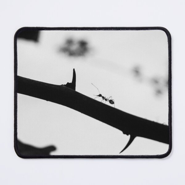 Item preview, Sting designed and sold by ROSE ANN BANILAR.