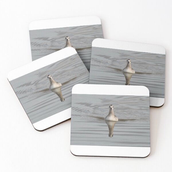 Item preview, Red-necked Phalarope reflects  designed and sold by Erin LeFevre-Josephs.