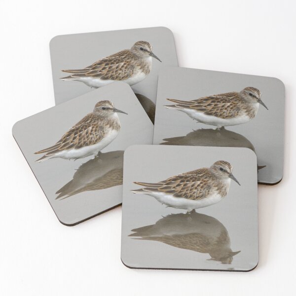 Item preview, Life of a Sandpiper  designed and sold by Erin LeFevre-Josephs.