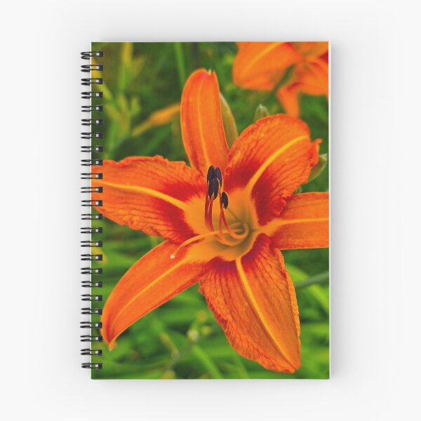 Item preview, Orange Daylily designed and sold by bjtomiko.