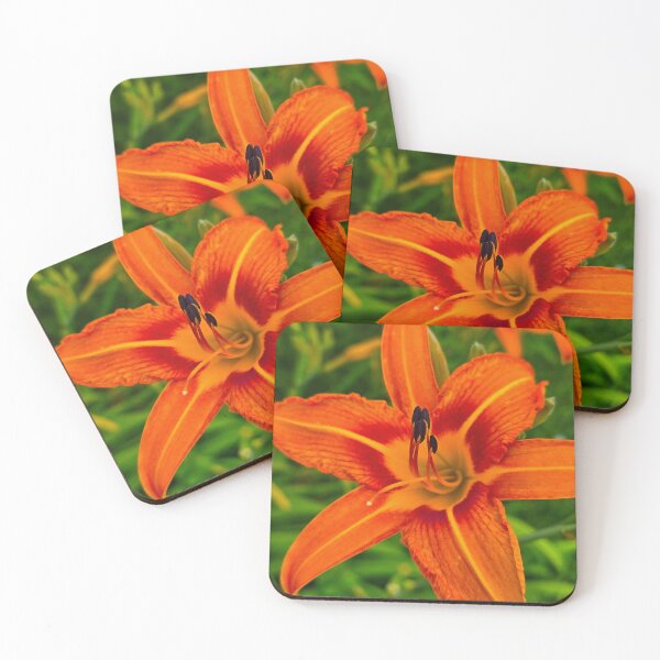 Item preview, Orange Daylily designed and sold by bjtomiko.