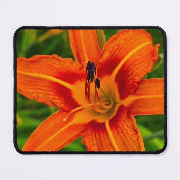 Item preview, Orange Daylily designed and sold by bjtomiko.