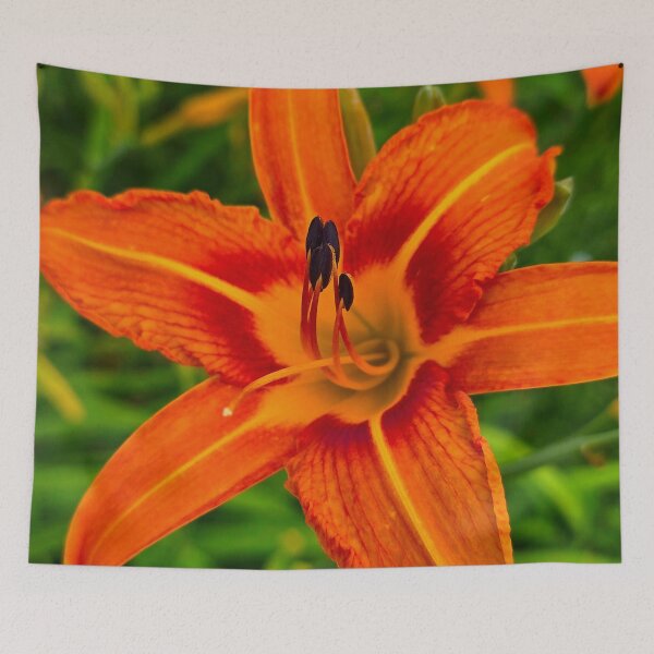 Item preview, Orange Daylily designed and sold by bjtomiko.
