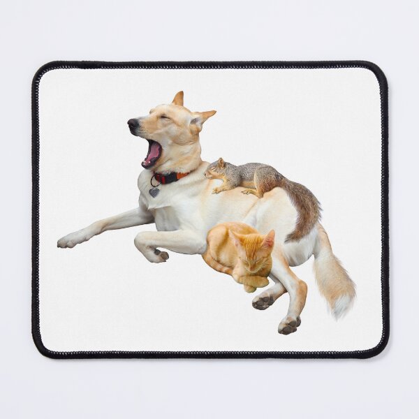 Item preview, Dog, Cat, Squirrel Naptime designed and sold by catsclips.