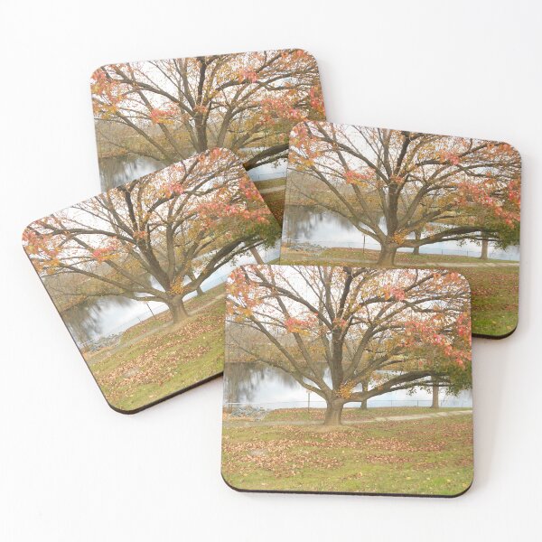 Item preview, Northern Virginia Autumn  designed and sold by GRL Photography.