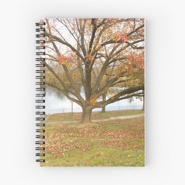 Item preview, Northern Virginia Autumn  designed and sold by GRL Photography.