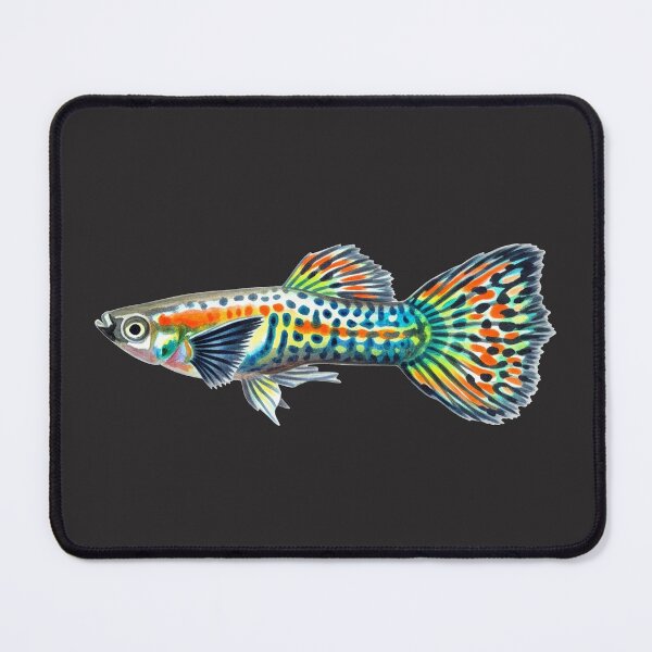 Item preview, Guppy designed and sold by 4rtistcDrift.