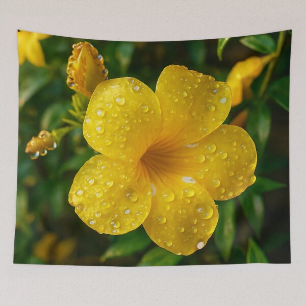 Item preview, Droplets of Sunshine Digital Artwork designed and sold by Storm Wolf Photography .